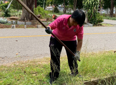 วันที่ 8 พฤษภาคม 2568 &quot;Big Cleaning Day&quot; ... พารามิเตอร์รูปภาพ 2