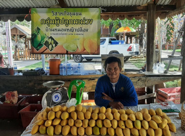 วันที่ 15 พฤษภาคม 68 เข้าร่วมงานมหกรรมมะม่วงจังหวัดขอนแก่น ... พารามิเตอร์รูปภาพ 10