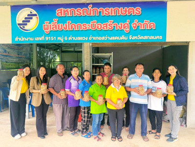 วันที่ 13 สิงหาคม 2568 ... พารามิเตอร์รูปภาพ 1