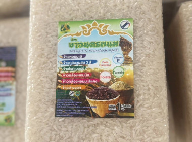 วันที่ 14 สิงหาคม 2568 พารามิเตอร์รูปภาพ 11