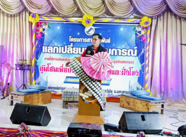 วันที่ 18 ตุลาคม 2568 ... พารามิเตอร์รูปภาพ 1