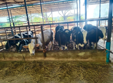 วันที่ 16 ธันวาคม 2568 ลงพื้นที่ เพื่อประสานงาน เก็บข้อมูล ... พารามิเตอร์รูปภาพ 6