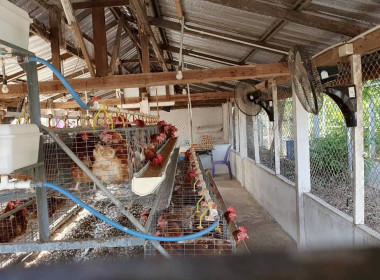 วันที่ 14 มกราคม 2569 ร่วมศึกษาดูงาน แลกเปลี่ยนข้อมูล ... พารามิเตอร์รูปภาพ 19