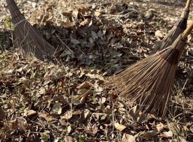 วันที่ 24 มกราคม 2569 ... พารามิเตอร์รูปภาพ 11