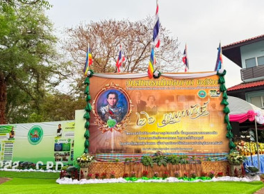 วันที่ 26 กุมภาพันธ์ พ.ศ. 2569 ... พารามิเตอร์รูปภาพ 13