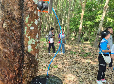 วันที่ 10 มีนาคม 2569 วมเป็นวิทยากรและร่วมในการศึกษาดูงาน ... พารามิเตอร์รูปภาพ 10