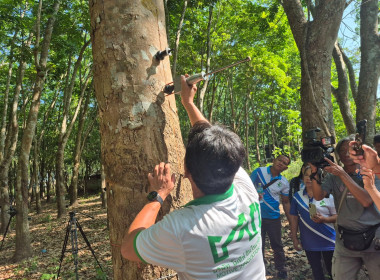 วันที่ 10 มีนาคม 2569 วมเป็นวิทยากรและร่วมในการศึกษาดูงาน ... พารามิเตอร์รูปภาพ 8