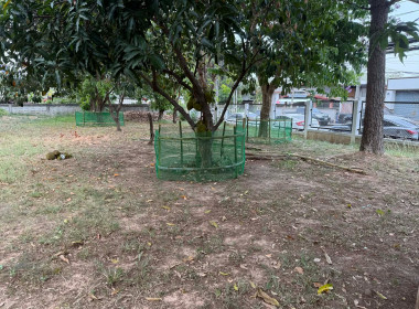 วันที่ 2 เมษายน 2569 กิจกรรมทำความสะอาด 5 ส. "สะสาง สะดวก ... พารามิเตอร์รูปภาพ 14