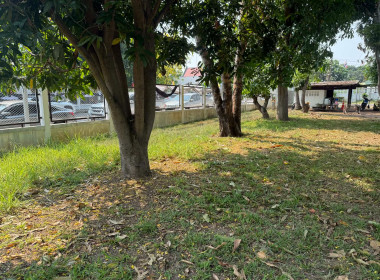 วันที่ 2 เมษายน 2569 กิจกรรมทำความสะอาด 5 ส. "สะสาง สะดวก ... พารามิเตอร์รูปภาพ 1