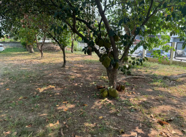 วันที่ 2 เมษายน 2569 กิจกรรมทำความสะอาด 5 ส. "สะสาง สะดวก ... พารามิเตอร์รูปภาพ 2