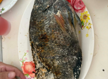 วันที่ 9 เมษายน 2569 จัดกิจกรรมเนื่องในเทศกาลสงกรานต์ ... พารามิเตอร์รูปภาพ 33