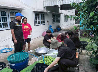 วันที่ 3 กรกฎาคม 2569 จัดโครงการอาสาสมัครสหกรณ์ ... พารามิเตอร์รูปภาพ 29