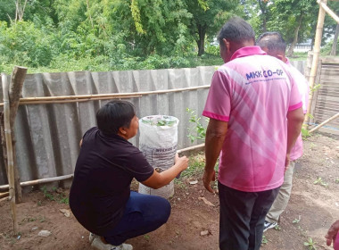 วันที่ 17 กรกฎาคม 2569 ... พารามิเตอร์รูปภาพ 19